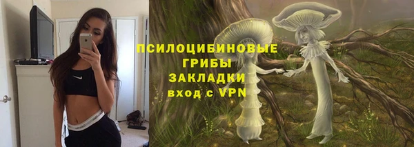 амф Володарск