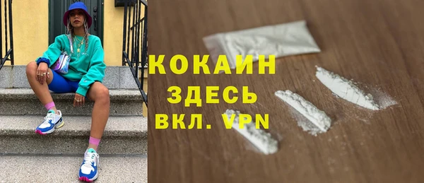 шишки Осташков