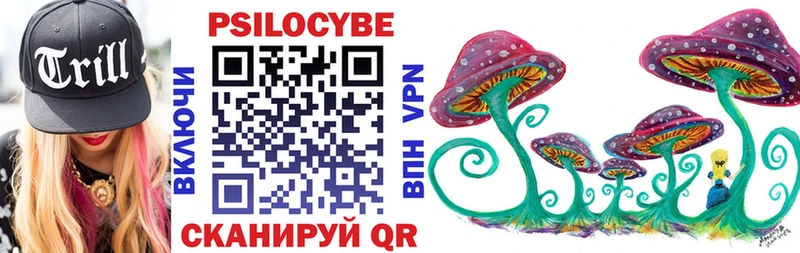дарк нет официальный сайт  Высоцк  Псилоцибиновые грибы Psilocybe 